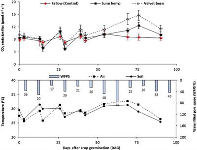 Soil Respiration and Carbon Balance Under Cover Crop in a no-Till Tropical Fruit Orchard